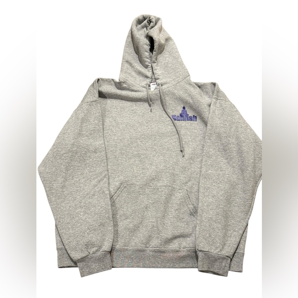 Gray Hoodie with Purple Decal. Size
XL. VGUC